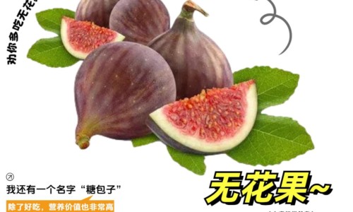 哺乳期间哪些食物不能吃什么网 :分享哺乳期不宜吃的食物-哺乳期忌吃哪些食物知识